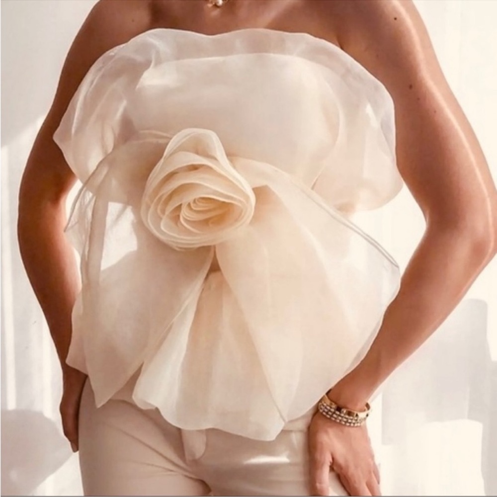 Zara organza top with tags